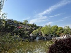 -北京西山国家森林公园