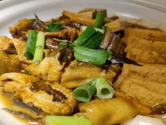 鳗鱼炖豆腐-日丰园海肠水饺·老字号大连海鲜(和平广场店)