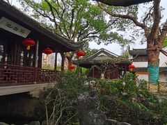-上海醉白池公园
