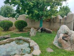 -大连森林动物园