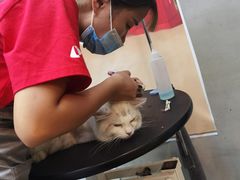 -PETKIT 小佩宠物·低压洗护·美容·寄养(安远店)