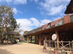 -威勒比开放式动物园