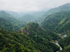 -龙湾潭国家森林公园