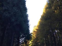 -山王坪喀斯特国家生态公园