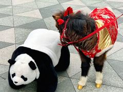 -无锡动物园·太湖欢乐园
