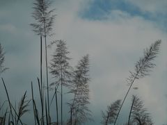 -水底山庄园温泉