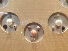 -中国湿地博物馆