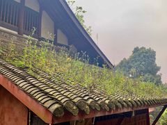 -都江堰普照寺