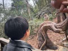 -千岛湖东南湖区