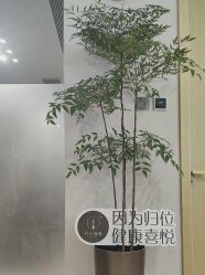 -归位瑜伽＆普拉提馆