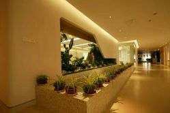 -北京和美妇儿医院