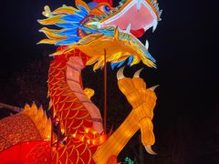 -南宫五洲植物乐园