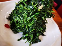 清香枸杞苗-国强手抓(北京西路店)