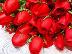 -沪花拾者(好再来花卉鲜花店)