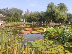 -国家植物园南园