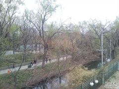 -紫竹院公园冰场