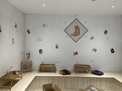 -鼎级派宠物(中南店)