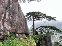 -黄山风景区
