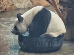 -石家庄市动物园