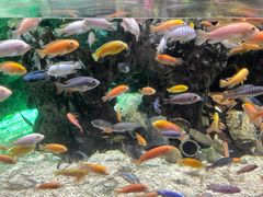 -太平洋海底世界