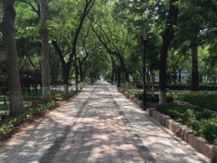 -山东大学(趵突泉校区)