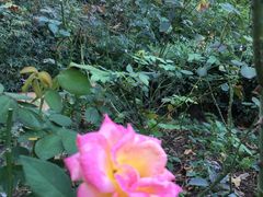 -人民公园(罗湖区)