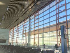 -西沃古尔·拉姆古兰爵士国际机场