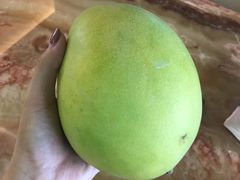 -南沙十九涌渔人码头-南门