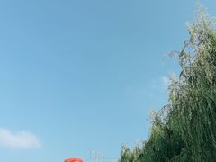 -白洋淀风景区