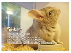 -龙猫仔乐园(惠福东路店)