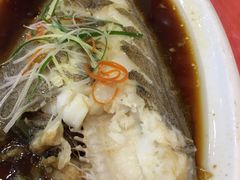 清蒸蝶鱼-普天和酒楼·新津菜·烤鸭(天津之眼店)