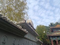 -天龙宝严素食馆(大兴善寺店)