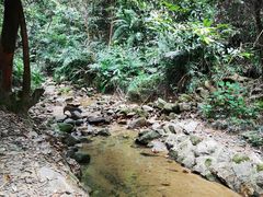 -火炉山森林公园