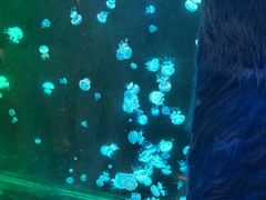 -欢乐海岸海洋奇梦馆