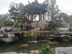 -东莞植物园