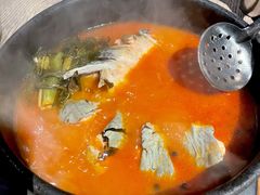 酸汤鱼-毛辣果·酸
