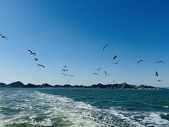 -海驴岛(荣成市)
