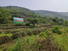 景点-缥缈峰景区