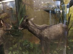 -下渚湖国家湿地公园科普馆