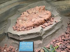 -辽宁古生物博物馆