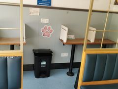 -伟伟宠物医院·瑞派猫友好医院·猫科(光谷店)