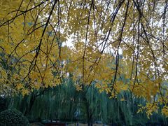 -玲珑塔公园