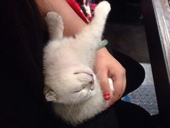 Mikaku-MIKAKU(万达广场上海宝山店)