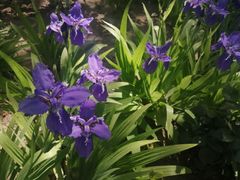 -爱德堡西餐咖啡吧(北师大店)