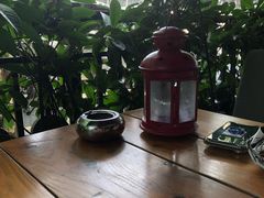-Judy's  spot