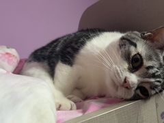 -新梅居(宁海东路店)