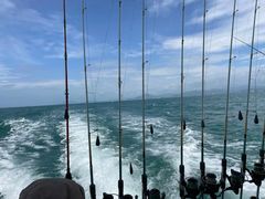 -小猫钓鱼海钓俱乐部(椰梦长廊店)