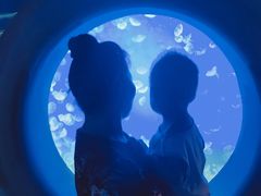 -江和美海洋公园