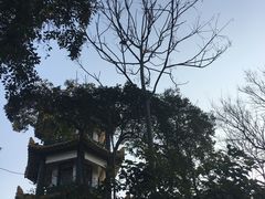 -赭山公园