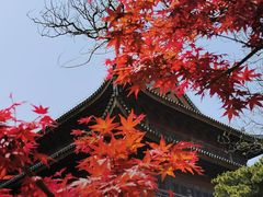 -龙华寺